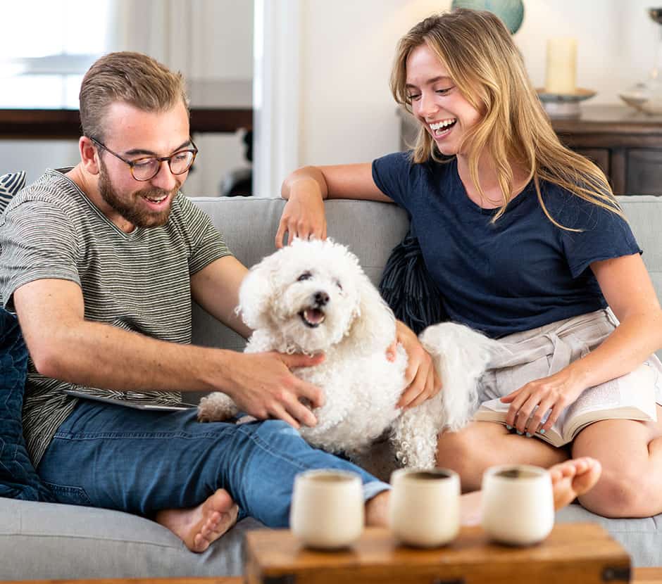 Young couple sitting on a couch with a dog