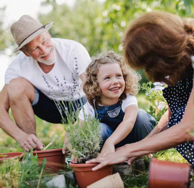 Grandparents planting flowers with young grandaughter