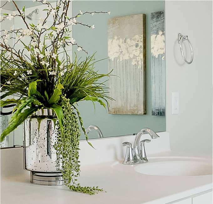 View of bathroom sink and mirror with planter