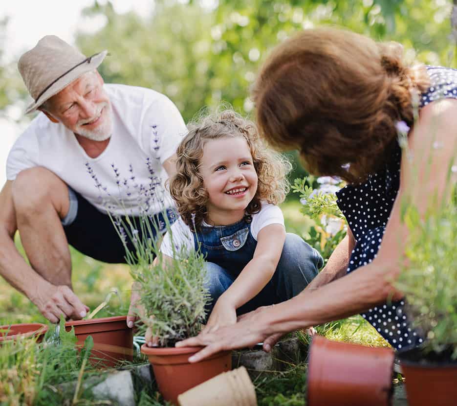 Grandparents gardening with young granddaughter